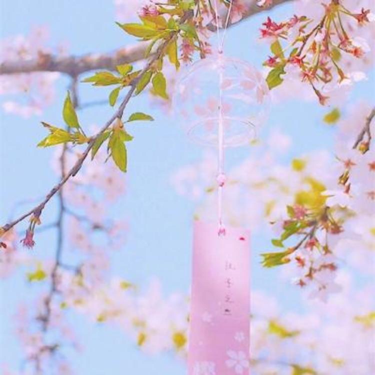 相乐左之助（身份：前赤报队准队士、“恶”字背衣打手） - 怀旧港剧全集在线观看 - 云端影视
